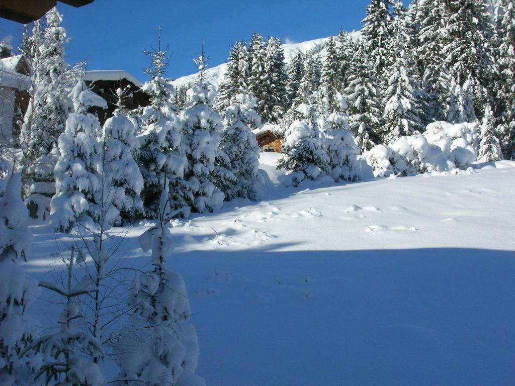 Apartment Valtiner *